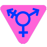 Shemale Sex in HSR Layout Escorts